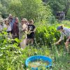 The permaculture pivot